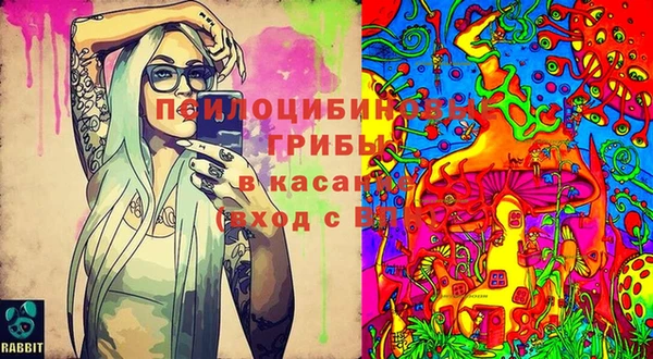 мяу мяу мука Балахна