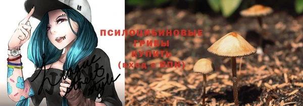 индика Белоозёрский