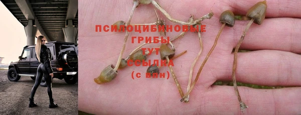 мяу мяу мука Балахна